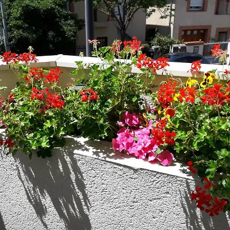 :) Grand Studio Lumineux A Toulouse Et Parking Exterior photo