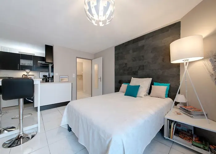 :) Grand Studio Lumineux A Toulouse Et Parking