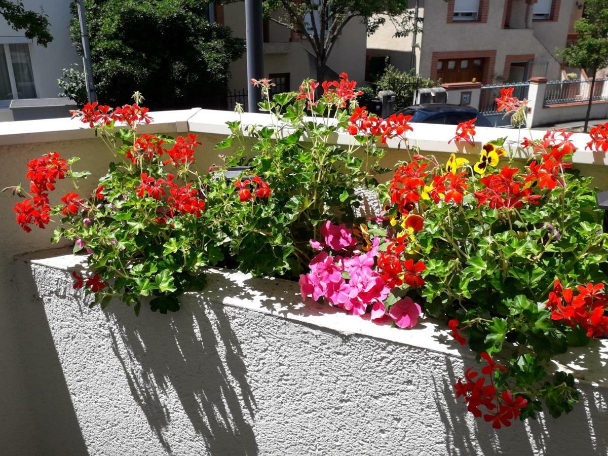 :) Grand Lumineux A Et Parking Apartment Toulouse